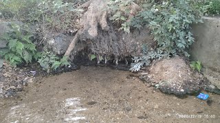 Lupungutu, a Picnic spot in Chaibasa, Jharkhand