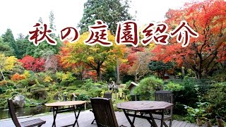 長生館の紅葉紹介