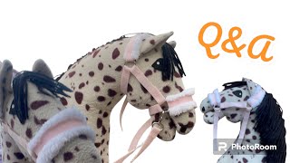 Q\u0026A🫶🏻☺️😊. Czuję się lepiej 😇#horse #hobbyhorsing #hobbyhorse