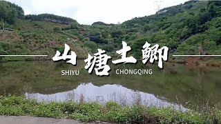 五六年不喂过的鱼塘    土鲫那么大  。