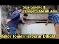 BIKIN M3RINDING! PERTAMA KALI LIAT WUJUD TOMAN 1 METER DIDALAM BAK