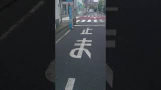 【相鉄線鶴ヶ峰駅→ズーラシア行きバス停】