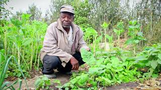 Wisdom from the past | Exploring Traditional African Herbal Healing