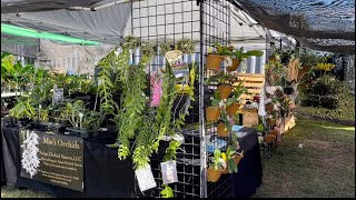 Orchid Show, OFE Orchid Fair, Amazing Orchids, New Vendors, Great Time! January 14, 2022