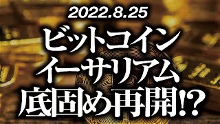 ビットコイン・イーサリアム底固め再開！？［2022/8/125］【仮想通貨・BTC・ETH・FX】※2倍速推奨