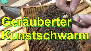 Geräuberter Kunstschwarm