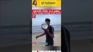 வலையில் சிக்கிய Sea Horse 🧜🏼‍♀️ கடல்குதிரையை காப்பாற்ற போராடிய இளைஞர்!| fish | sea | Sealife