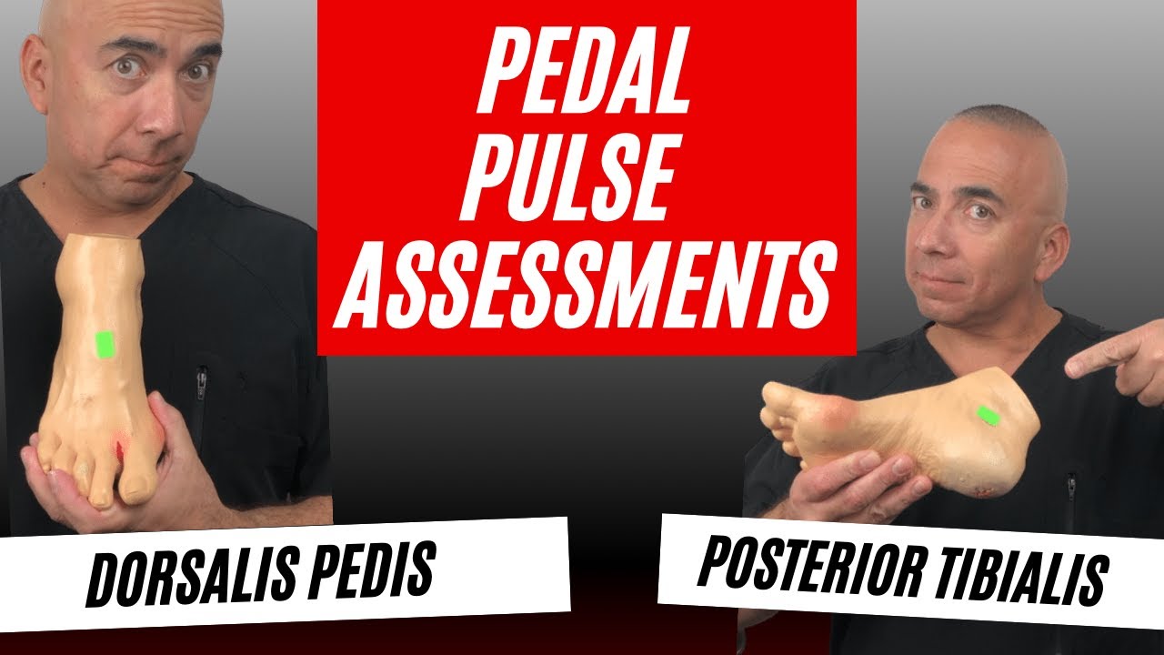 Pedal Pulse Dorsalis Pedis Medituition Pulse Examination Water