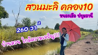 ที่ดินปทุมธานี คลอง10 สวนมะลิเก่า ราคาถูก Tel.082-231-0442 l นักขายสายเที่ยว l EP.89