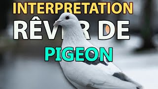 RÊVER DE PIGEON | signification des reves |interpretation des reves |dream interpretation | PIGEON