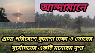 আন্দামানে গ্রাম্য পরিবেশে কুয়াশায় ঢাকা ও ভোরের সূর্যোদয়ের একটি মনোরম দৃশ্য #viral #andaman