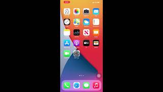 How to fix Facetime not Ringing problem