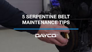 Dayco - Serpentine Belt Maintenance Tips