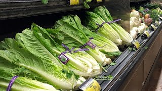 Romaine lettuce E. coli outbreak spreads