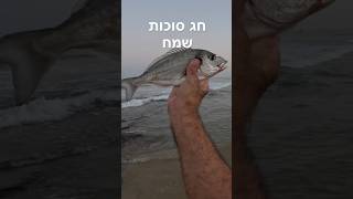 דייג - חגיגה של דניסים ענקים | חג סוכות שמח 2024.