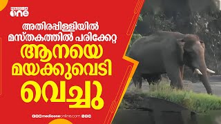 പരിക്കേറ്റ ആനയ്ക്ക് ആദ്യ മയക്കുവെടി വെച്ചു; കൂടുതൽ ഡോസുകൾ നൽകും; കൂടെ മറ്റൊരാനയും