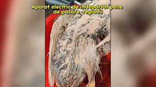 Aparat electric de indepartat pene de pasăre, reglabil