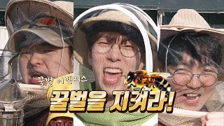 양봉장 '꿀벌' 어벤져스 출격! [모여라 생물팡팡 EP2]