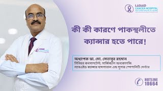 কী কী কারণে পাকস্থলীতে ক্যান্সার হতে পারে! | Prof. Dr. Md. Setabur Rahman