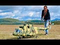 WOW !!! STUNNING !!! Mil Mi-8 AMT RC TURBINE SCALE MODEL RUSSIAN HELICOPTER FLIGHT DEMONSTRATION !!!