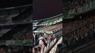 Império e Mancha Verde dando um show de torcidas, Coritiba 0x2 Palmeiras #brasileirao