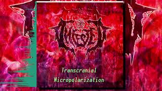 IFested - Transcranial Micropolarization (320) (Full Album)