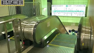 明治神宮前〈原宿〉駅 エスカレーター 千代田線ホームへの下り Meiji-jingumae ‘Harajuku’ station Escalator