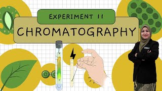 EXPERIMENT 11: CHROMATOGRAPHY  PRE LAB DISCUSSION