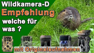 Wildkamera Empfehlung Campark Sortiment.  Welche Trailcamera wofür. Originalaufnahmen.