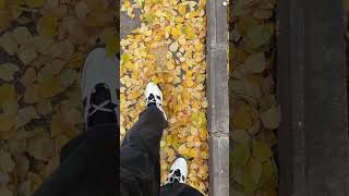 Yere dökülen sonbahar 🍂🍁#youtube #youtubeshorts #youtubevideo #reklam #markangelcomedy #instagram