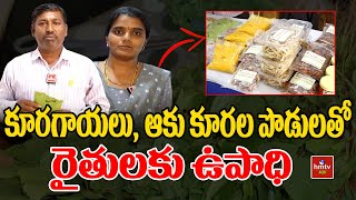 కూరగాయలు, ఆకు కూరల పొడులతో రైతులకు ఉపాధి | Nelathalli | hmtv Agri