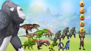 Wolf and Gum Eggs comedy video || Cartoon Gorilla Tyrannosaurus Rex cartoon collection