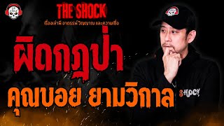 ผิดกฎป่า คุณบอย ยามวิกาล l TheShock13