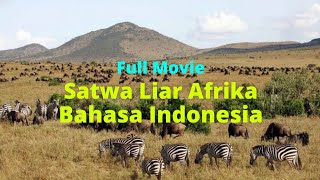 Koleksi Film Dokumenter - Kehidupan Satwa Liar Sub Indonesia (Bagus Buat Nonton Bareng Keluarga)