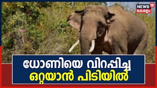 Palakkad Elephant Attack | Dhoniയെ വിറപ്പിച്ച ഒറ്റയാൻ  PT7നെ മയക്കുവെടിവച്ചു | Kerala News Today