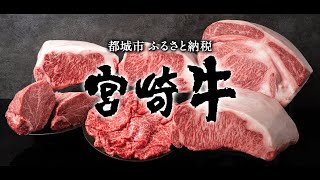 都城市ふるさと納税PR動画～宮崎牛～