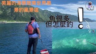 清澈見底的海洋，這裡是花東最漂亮的釣場歡迎光臨石梯坪風景區，一起挑戰水中怪物吧