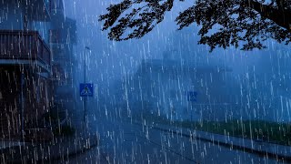 Barulho de Chuva para Dormir Profundamente e Relaxar ⛈ Som de Chuva Forte, Vento e Trovão #8 ASMR