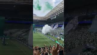 Palmeiras é o Time da Virada! Palmeiras x São Paulo Hoje Terá Mais de 40 Mil Torcedores