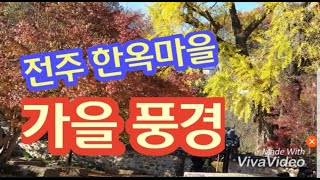 전주한옥마을, Jeonju Hanok Village, 전주한옥마을 브이로그,  한옥마을 가을풍경, 가을단풍, 한옥마을