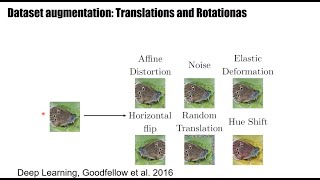 DL2.4 - Data augmentation