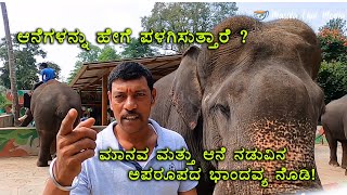 Dubare Elephant Camp Coorg ಆನೆಗಳನ್ನು ಹೇಗೆ ಪಳಗಿಸುತ್ತಾರೆ ಗೊತ್ತಾ? Coorg Tourist Places