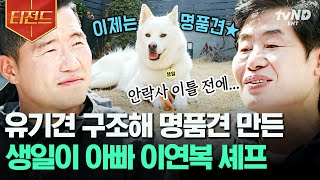 [#고독한훈련사] 하수구에서 구조된 유기견에서 세상 복받은 명품 강아지로 견생역전🐶💥 반려견 \