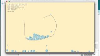 ofxBox2d example-Bodies TEST