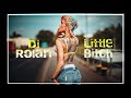 די ג'יי רולאן - ליטל ביץ' | Dj Rolan - Little Bitch