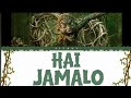 HAI JAMALO LYRICS | JIYANY