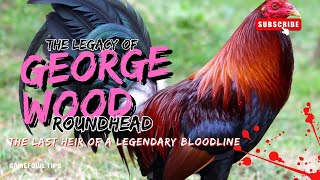 George Wood’s Lacy Roundhead: The Last Heir of a Legendary Bloodline