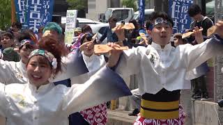 周防紅華連　パレード会場　住吉祭り2019