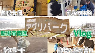 【家族Vlog】新潟市内で動物と触れ合える自然豊かな施設に行ってきた！！【新潟市アグリパーク】