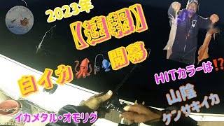 ２０２３年❗️ケンサキイカ🦑🎣【山陰白イカ】大人の夜遊び🤩【日本海】